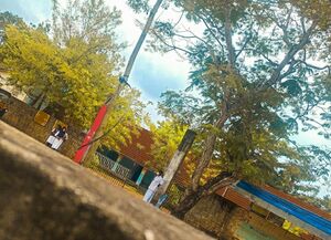 BS21 TVM 42067 2.jpg