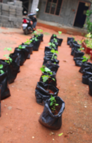 Padam 1 padathekku 4.png