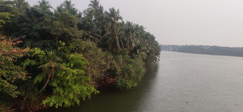 പ്രമാണം:11453 q1.jpg