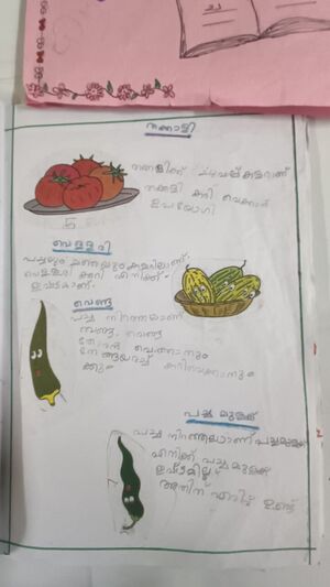 15085-WYD-KUNJ-MUHAMMED SHAN RESSUL.jpeg