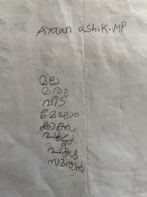 15258-WYD-KUNJ-AYAN ASHIK.M.P.jpg