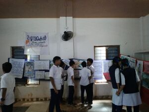 16038 mazhapicture.jpg