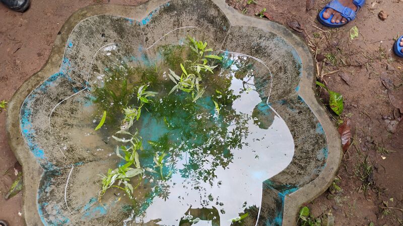 പ്രമാണം:17501 june05 2026 00.jpg