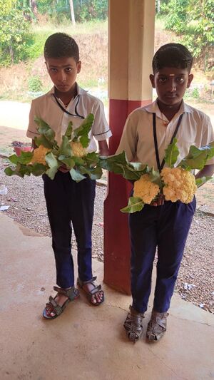 17WhatsApp Image 2022-01-24 at 1.57.23 PM.jpeg