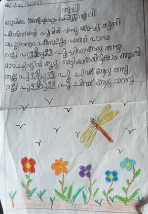 19317-MLP-KUNJ-FATHIMA HAMNA VT.jpeg