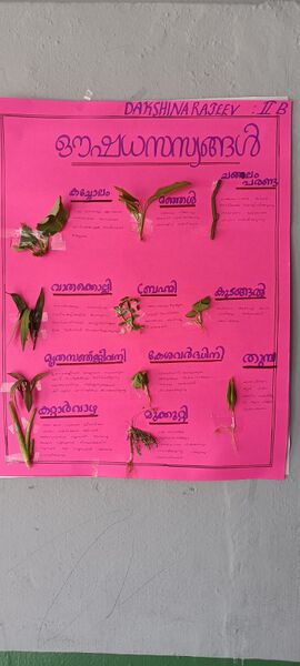 പ്രമാണം:25044 LP Exhibition-oushadasasyam5.jpg