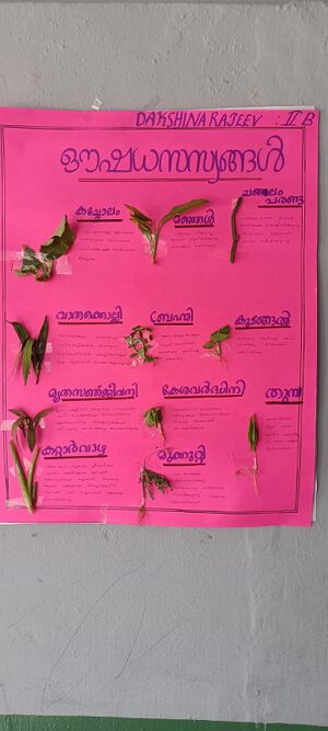 25044 LP Exhibition-oushadasasyam5.jpg