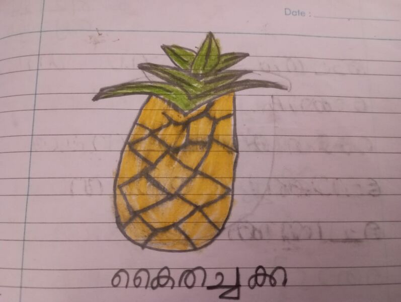 പ്രമാണം:39451 -KLM-KUNJ-Anusree A S.jpeg