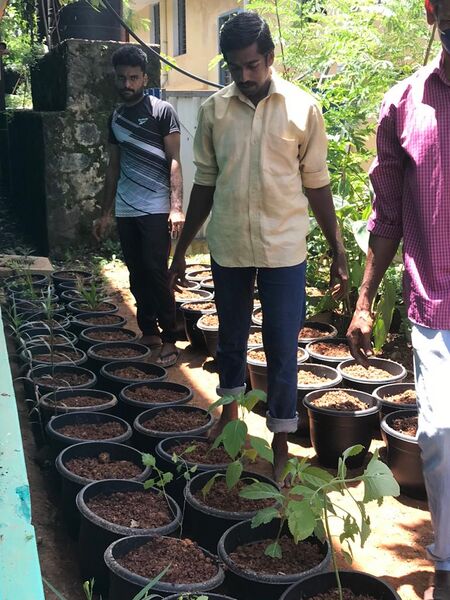 പ്രമാണം:44050 eco 81.jpeg