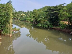 47454 Velimanna Puzha.jpeg