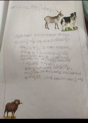 47531-KKD-KUNJ-ALI ZAYAN K.jpg