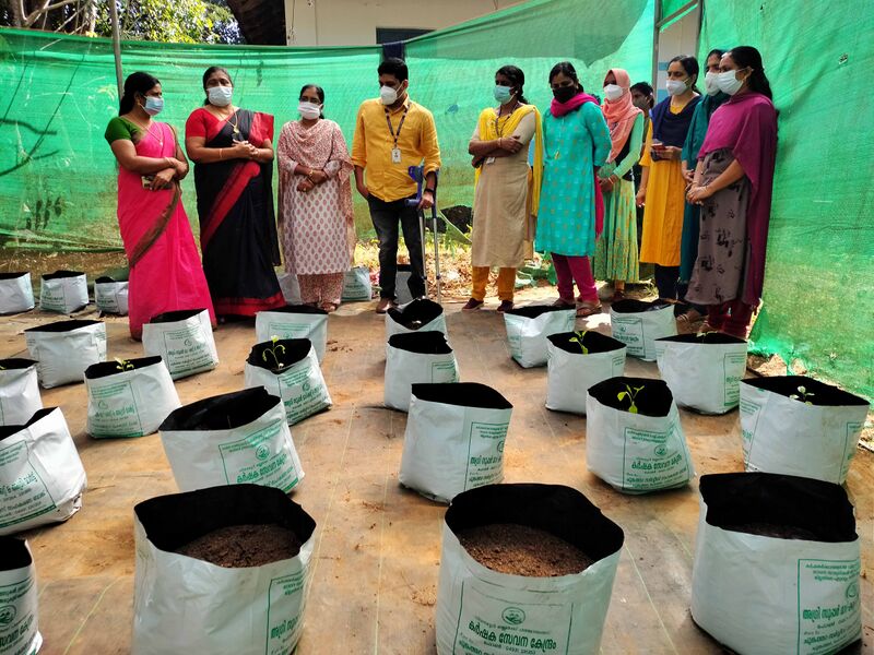 പ്രമാണം:48479 grobag 4.jpg