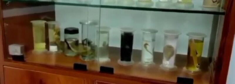 പ്രമാണം:6055 hightech zoologylab.jpg