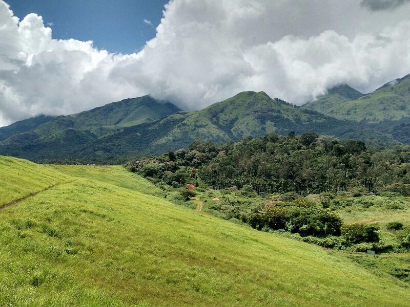 പ്രമാണം:Padinjarathara 15253.jpg