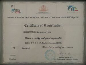 11026 Little kite unit registration certificate.jpg