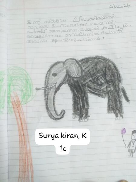 പ്രമാണം:17263-KKD-KUNJ-SURYA KIRAN 1 C.jpg