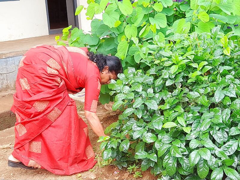 പ്രമാണം:21068 cleaning04.jpg