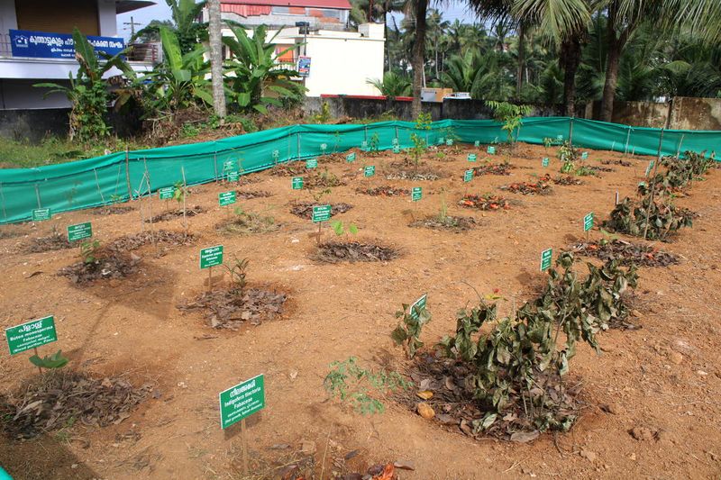 പ്രമാണം:28012 SP 1920 174.jpeg