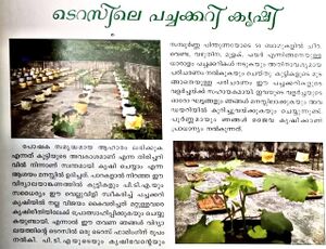 29312 terracekrishi1.jpeg