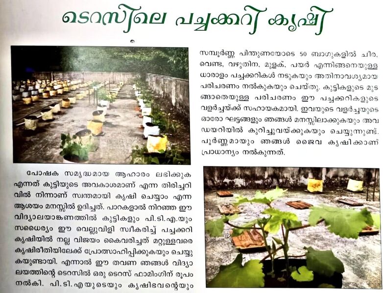 പ്രമാണം:29312 terracekrishi1.jpeg