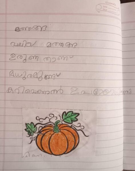 പ്രമാണം:32225-KTM-KUNJ-SAINA K S.jpeg