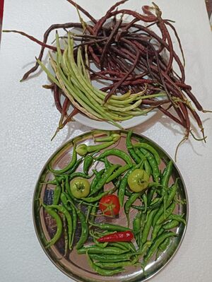 43012 Harithaclub3.jpg