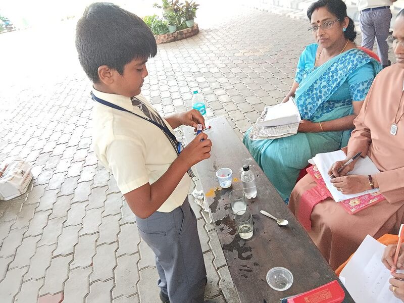 പ്രമാണം:44443 fair3.jpeg