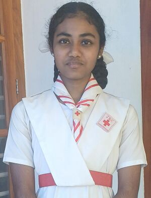 BEST CADET 13006.jpeg