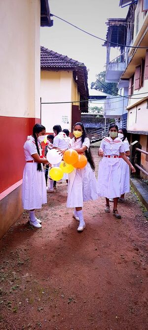 BS21 ALP 36037 3.jpg