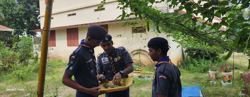 പ്രമാണം:Vegetable garden 35052 23 5.jpg