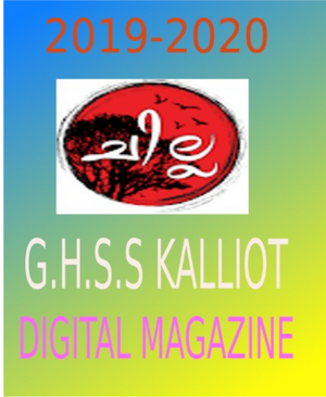 12012-dm-2020.png