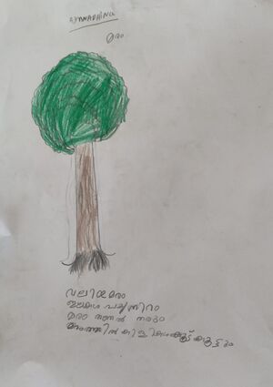 15056-WYD-KUNJ-AYANA DHINU.jpeg