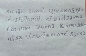 15058-WYD-KUNJ-NESHA HAYA.jpg