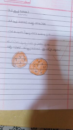 18624-MLP-KUNJ-FATHIMA .jpg