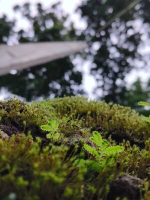 19042 Science Photography Alan.jpg