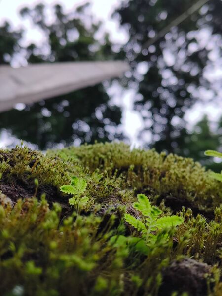 പ്രമാണം:19042 Science Photography Alan.jpg