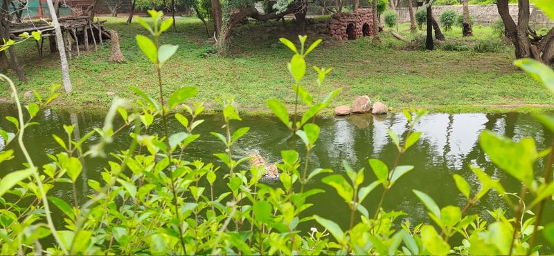 പ്രമാണം:19051 tar8.jpg