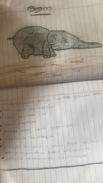 പ്രമാണം:19645-MLP-KUNJ-AYISHA BATHOOL.jpg