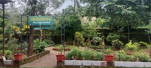19881 biodiversity garden 1.jpg