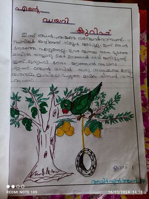 20335-PKD-KUNJ-AMIR SULTHAN.jpg