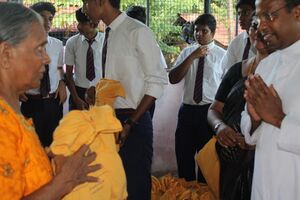 26013 Society 10 .JPG