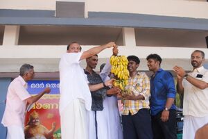 34046 onam6.resized.JPG