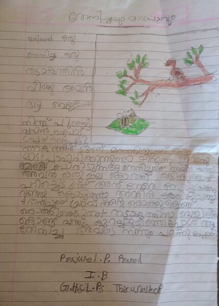 പ്രമാണം:34201-ALP-KUNJU-PRAJWEL P PRAMOD.jpg