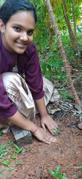 പ്രമാണം:35026 eco4.jpeg