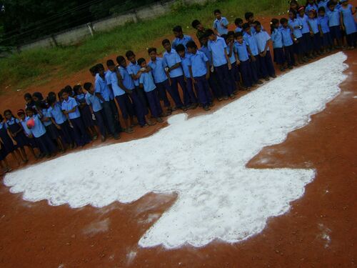 സ്നേഹപ്രാവ്