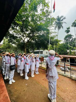 47238 independence day3.jpg