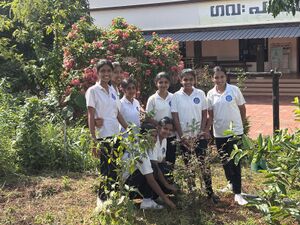 Jpg-chedi nadal spc.jpg