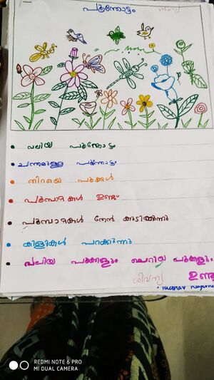 Madhav Rajaneesh.jpg