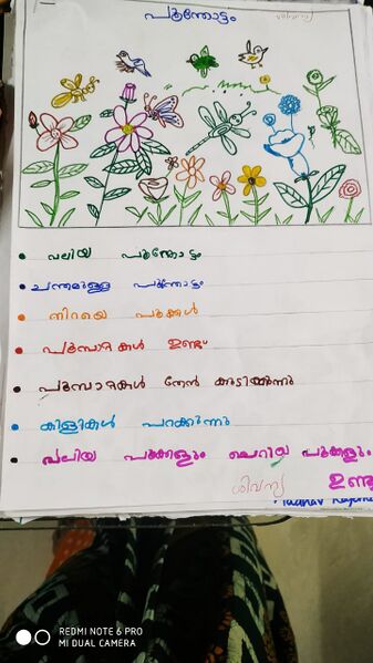 പ്രമാണം:Madhav Rajaneesh.jpg