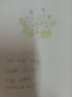 13917-KNR-KUNJ-YADHAV-1 C.jpg